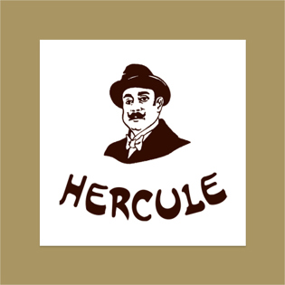 Hercule Stout