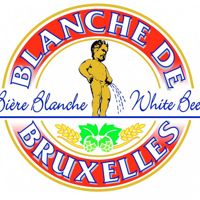 Blanche de Bruxelles - 4.5%